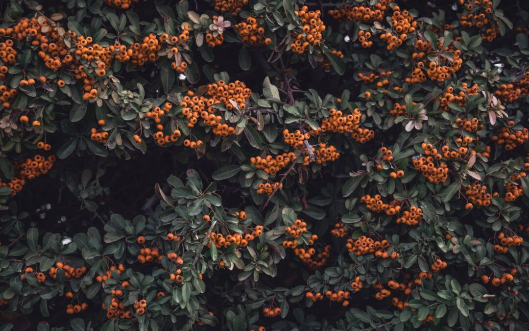 La suite du Bout du Monde…