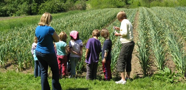 Ecole sociocratique du bout du monde