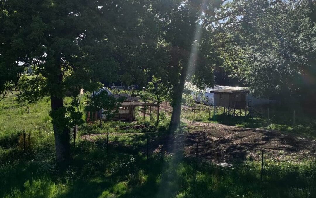 Newsletter Mai 2022 – Portes ouvertes