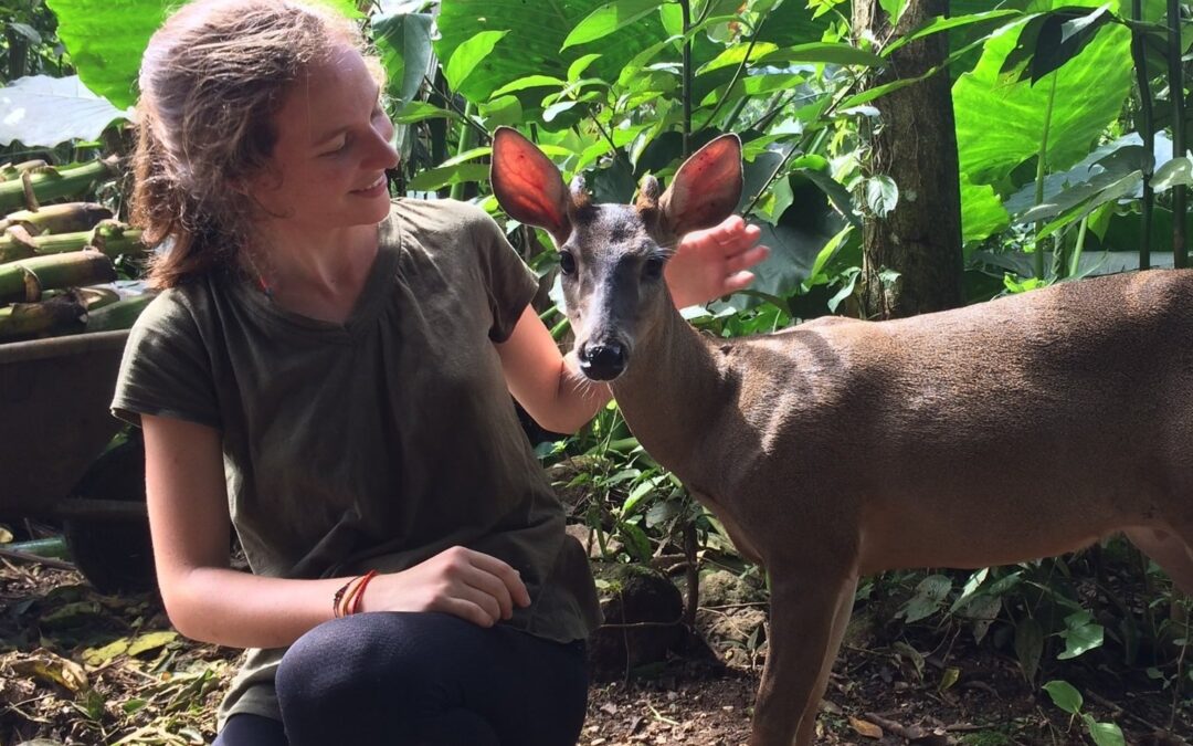 Interview avec Sophie du kot Oasis ﻿