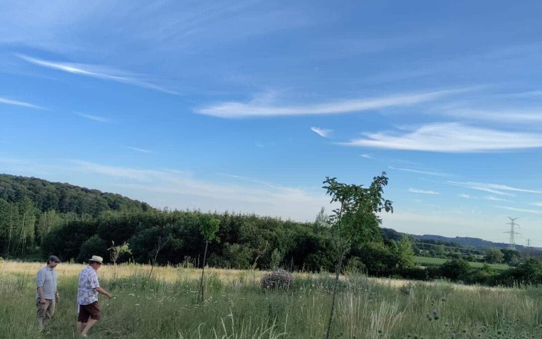 Newsletter Eté 2022