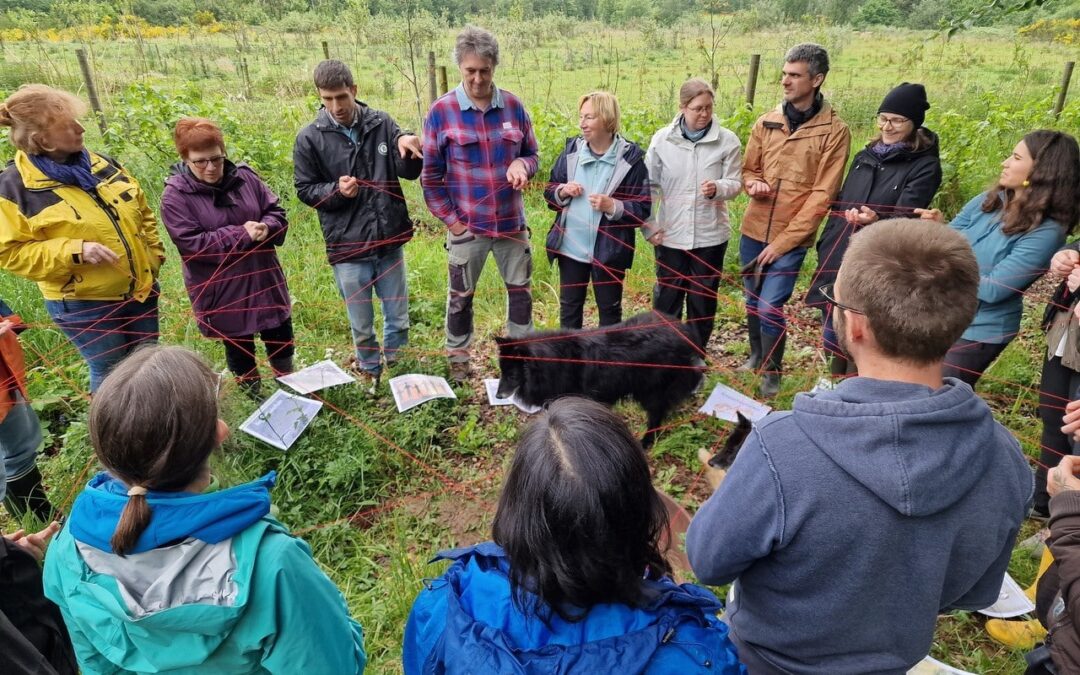 Stage d’introduction à la permaculture, 17-18 mai 2025