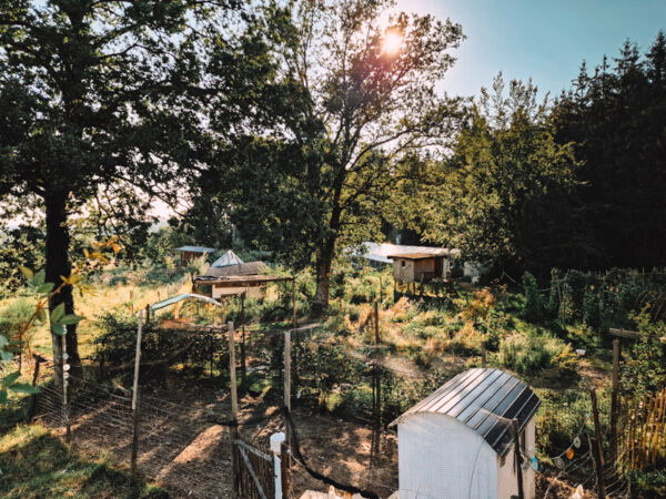 Hybrid Permaculture Design Certificate PDC 2025-2026 (English)